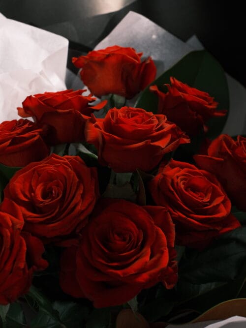 CHERISH-LOCAL RED ROSE - Image 2