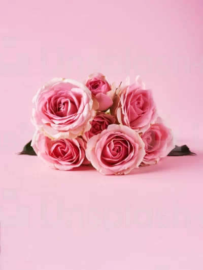 Rose Orewa flowers Valentine's