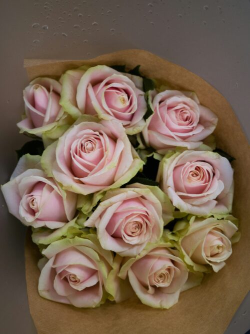 Beatrice Pink Rose Bouquet